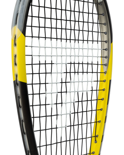 Tecnifibre Carboflex 125 Heritage string bed